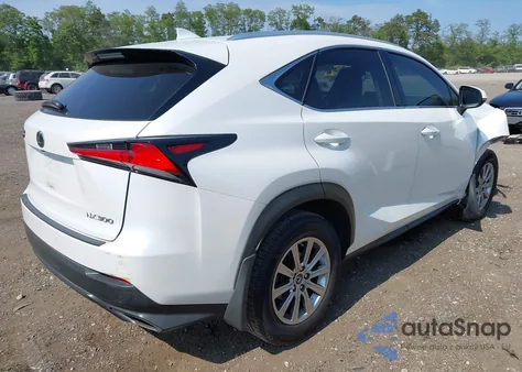 2019 Lexus Nx 300 from USA, damaged, VIN JTJBARBZ6K2197265